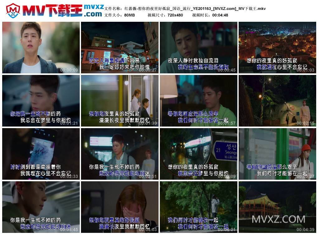 红蔷薇-想你的夜里好孤寂_国语_流行_YE201163